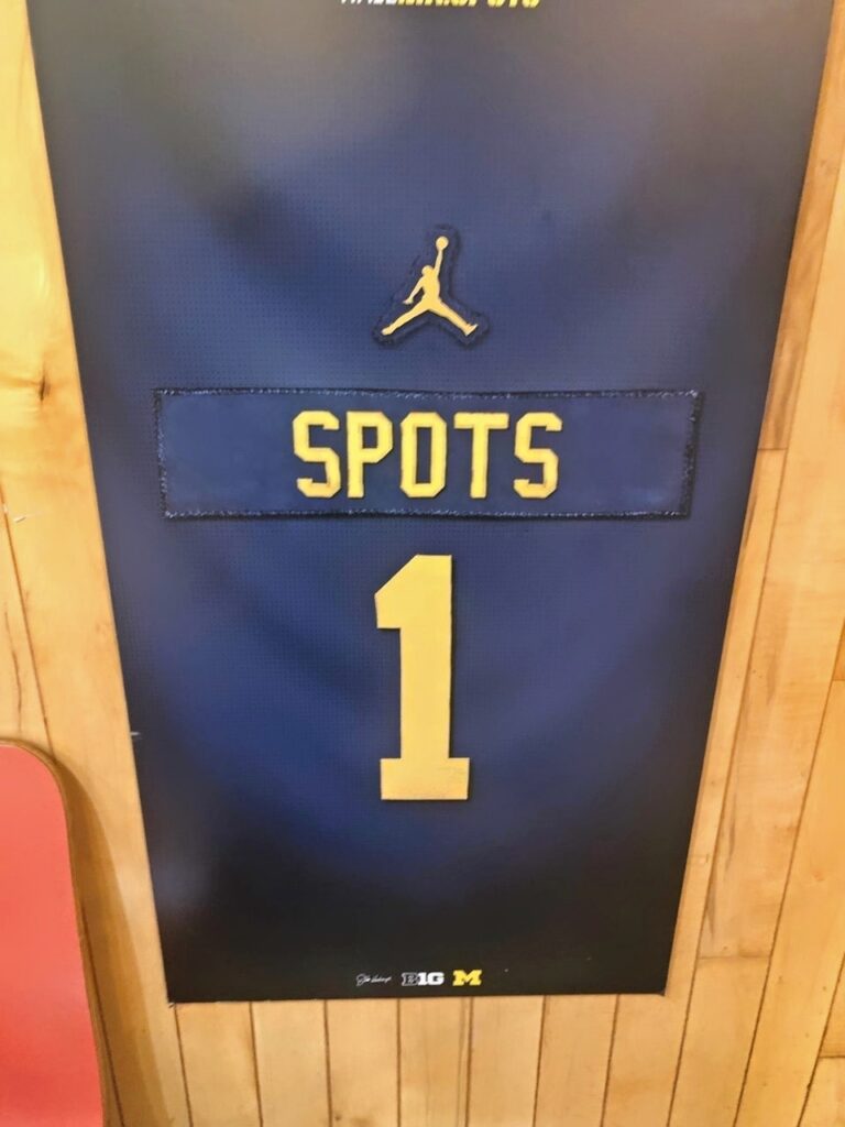 Spots Ann Arbor Mr. Spots