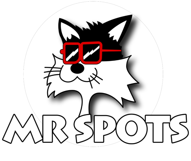 Mr. Spots Undisputed Heavyweight Wings & Cheesesteaks